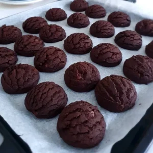 کوکی دبل چاکلت500گرم