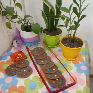 کوکی اسمارتیزی 500گرم
